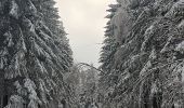 Randonnée Marche Vielsalm - froidure à fraiture  - Photo 18