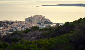 Trail Walking Calvi - Calvi - Capu di a Veta - Croix des autrichiens - Photo 19