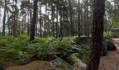 Randonnée Marche Fontainebleau - les Affolantes fontainebleau  - Photo 3