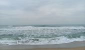 Trail Walking Canet-en-Roussillon - st cyprien, entre mer et étang  - Photo 18
