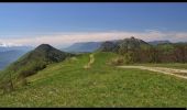 Trail Walking Sainte-Reine - Mont Pelat - Photo 2