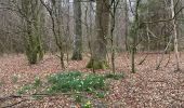 Trail Walking Tintigny - Bellefontaine Saint-Vincent - Photo 4