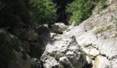 Tocht Stappen Estoublon - gorges de trevans - Photo 1