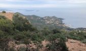 Tocht Stappen Saint-Raphaël - massif de l'Esterel : autour des grues  - Photo 6