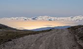 Tour Zu Fuß Trevélez - Trevelez-Alto de Chorillo - Photo 5