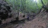 Tocht Stappen Faucon-du-Caire - FAUCON DU CAIRE  RAVIN DE L ECHELLE . CRETES DES ROUYERES  - Photo 11