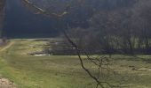 Percorso A piedi Gomadingen - Innerer Zugangsweg Schwäbischen Albvereins (gelbes Dreieck) - Photo 9