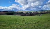 Trail Walking Bouillon - Rochehaut 190323 - Photo 7