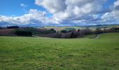 Tour Wandern Bouillon - Rochehaut 190323 - Photo 7