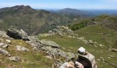 Tocht Stappen Saint-Étienne-de-Baïgorry - 20210520 tour depuis Izpegi - Photo 4