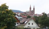 Percorso A piedi Forbach - Panorama-Runde – Rund um Forbach - Photo 10