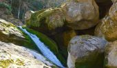 Randonnée Marche Tourves - Tourves- Le Saut du Cabri - Les gorges du Caramy - Photo 10