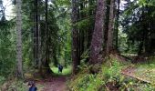 Trail Walking Saint-Nizier-du-Moucherotte - Le bois de la Plagne- St Nizier du Moucherotte - Photo 13