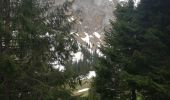 Trail Nordic walking Val-de-Charmey - Treek charmey au lac noir.  - Photo 7