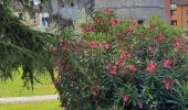 Tour Wandern Carrara - CR_Francigena_CI_32_Carrare-Avenza_Massa_20220615 - Photo 20