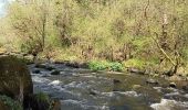 Excursión Senderismo Le Faouët - Le Faouët - Les cahots de l'Elle  - Photo 4