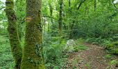 Percorso Marcia Limerzel - Limerzel - Sentier du Sillon - Photo 9