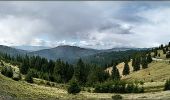 Excursión A pie Gheorgheni - Pasul Pângărați – Poarta Lapoșului – Curmătura Pinticului (blue stripe) - Photo 5