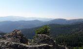 Tour Wandern Stoßweier - Tour du belvedere avec le passage sur les crêtes  - Photo 3