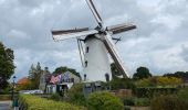 Tocht Stappen Pelt - De Wulp Hageven Grote Heide 24 km - Photo 18