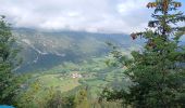 Randonnée Marche Saint-Agnan-en-Vercors - trop Alexis - Photo 5