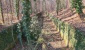 Randonnée Marche Soultz-sous-Forêts - Le sentier des cimes depuis Soultz - Photo 19