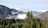 Excursión Senderismo Arâches-la-Frasse - Les Carroz, Mont Favy, pierre à Laya, Araches, remontée par les Nantes praz rôti, retour par les grangettes - Photo 11