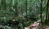 Randonnée Marche Brassac - Gorges de Sarazy  - Photo 1