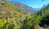 Excursión Senderismo Corte - Chjarasgiolu tuoni vallée Restonica - Photo 4