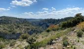 Tour Wandern Cheval-Blanc - Les gorges du Regalon  - Photo 12