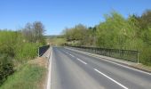 Tour Zu Fuß Wesertal - Eco-Pfad Wahlsburg - Photo 4