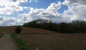 Trail Walking Marchin - Marchin 'Autour du Lileau' - Photo 6