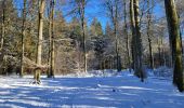 Tour Wandern La Roche-en-Ardenne - Samree 130125 - Photo 11