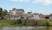 Tour Wandern Amboise - Amboise - GRs - 9km 95m 2h00 - 2018 09 30 - Photo 2