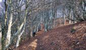 Trail Walking Saou - Forêt de Saoû - Les Pomerolles - Photo 18