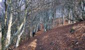 Tour Wandern Saou - Forêt de Saoû - Les Pomerolles - Photo 18