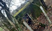 Tour Wandern Neufchâteau - marche adeps Tournay  - Photo 14