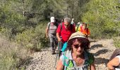 Randonnée Marche Pourrières - Puyloubier  - Photo 1