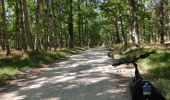 Trail Road bike Cellettes - Entre vignoble et châteaux - Photo 3