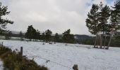 Tocht Stappen Peyre en Aubrac - Aumont Aubrac / Le Py auberge les gentianes  - Photo 2