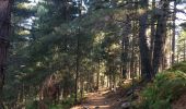 Trail Walking Soccia - Soccia lac de creno monte santelisea  - Photo 8
