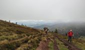 Randonnée Marche Orbey - Vallée des 5 lacs  - Photo 17