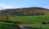 Tour Wandern Hotton - Werpin - Hampteau - Balade pédestre - Roadbook Famenne-Ardenne - Photo 4