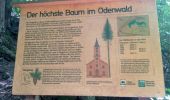 Trail On foot Eberbach - Rundwanderweg Am Gymnasium 1: Hohe-Warte-Weg - Photo 3