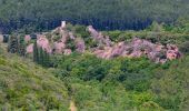 Randonnée Marche Le Muy - Ballade dans la foret Domaniale du rouet - Bords de l'Endre - Photo 8