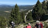 Tour Wandern Saint-Agnan-en-Vercors - Grand Veymont face ouest  - Photo 9