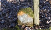 Tour Zu Fuß Steinau an der Straße - Ulmbach - Rundwanderweg UH - Photo 1