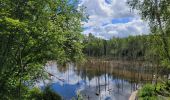 Tocht Stappen Gedinne - rando bourseigne vieille 15-06-2024 - Photo 19