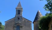 Tour Wandern Saint-Sauveur-Camprieu - Chemin des morts Camprieu Bramabiau - Photo 3