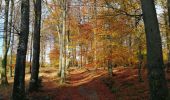 Tour Wandern Manhay - La longue chavée - Photo 3